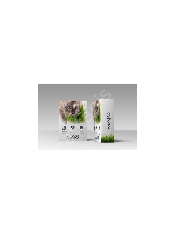 Nunbell Majo Cat Grass Kedi Çimi