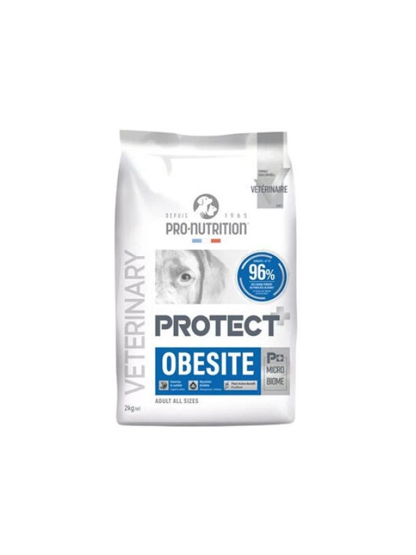 Pro Nutrition Protect Veterinary Obesite Kilo Kontrolü İçin Köpek Maması 2 Kg