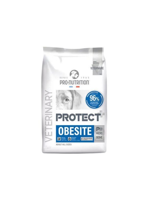 Pro Nutrition Protect Veterinary Obesite Kilo Kontrolü İçin Köpek Maması 12 Kg