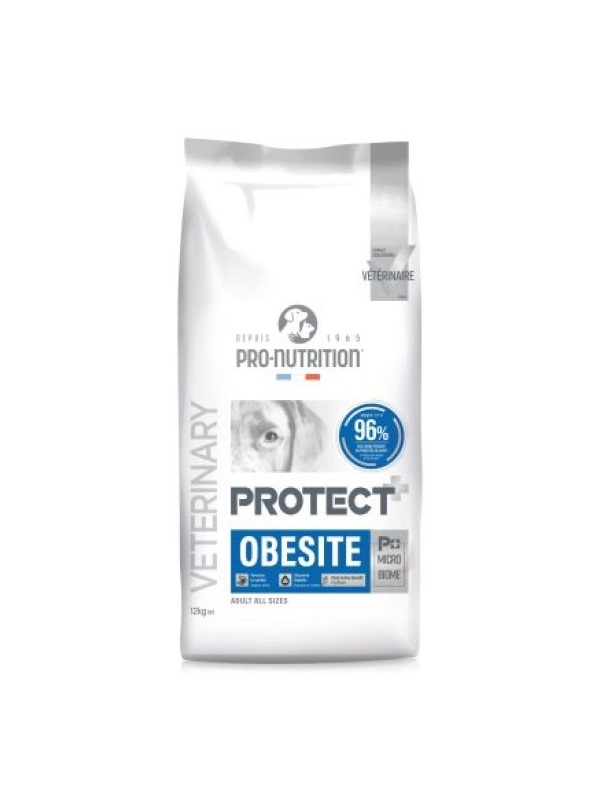 Pro Nutrition Protect Veterinary Obesite Kilo Kontrolü İçin Köpek Maması 2 Kg