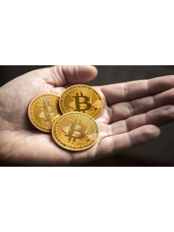 BitCoin Madeni Hediyelik Coin Sanal Para