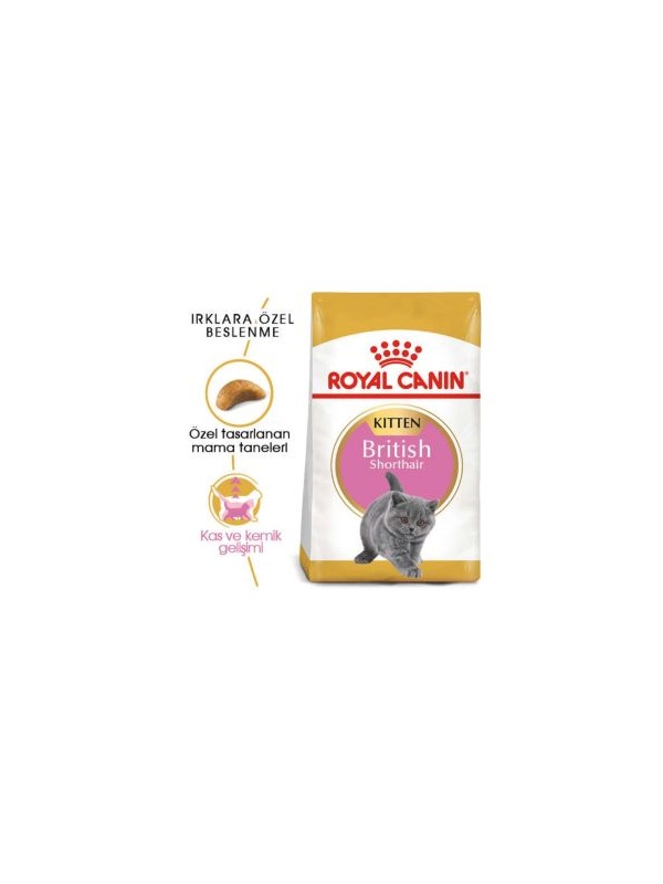 Royal Canin British Shorthair Yavru Kedi Maması 2 kg
