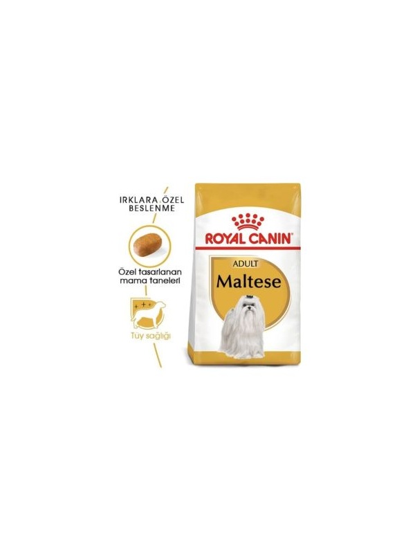 Royal Canin Maltese Bichon Maltais Yetişkin Köpek Maması 1.5 kg