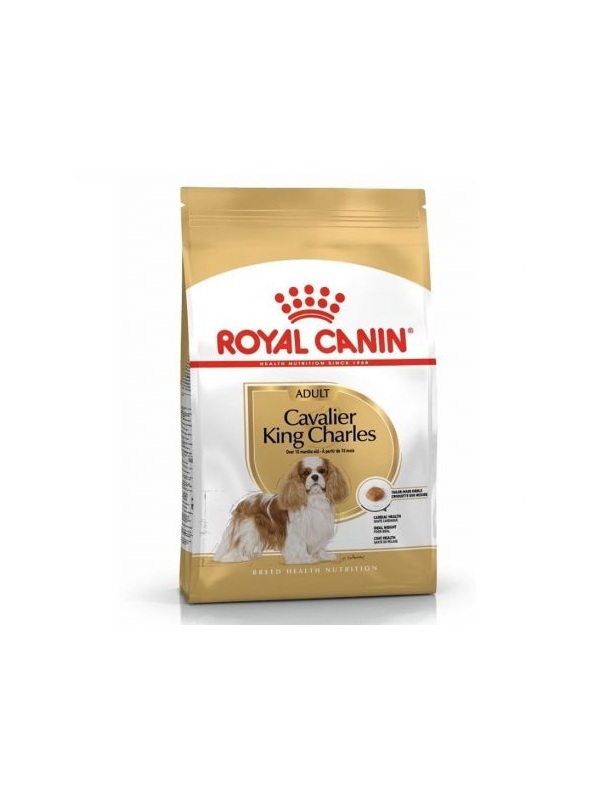 Royal Canin Cavalier King Charles 27 Yetişkin Köpek Maması 3 Kg