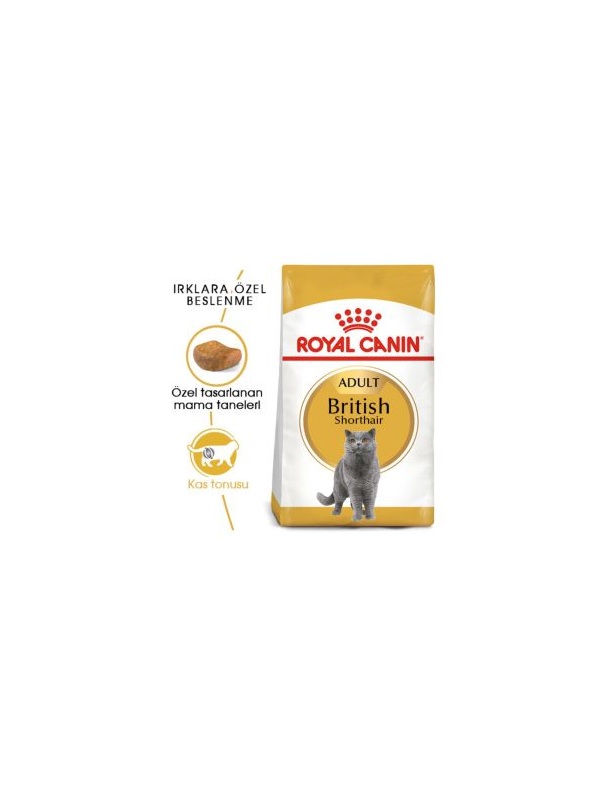 Royal Canin British Shorthair Yetişkin Kedi Maması 4 kg