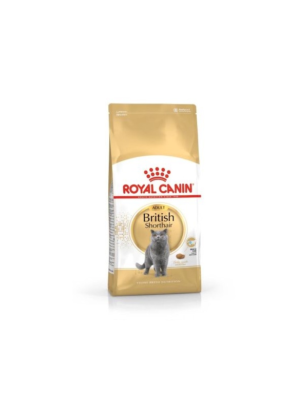 Royal Canin British Shorthair için Kuru Kedi Maması 10kg