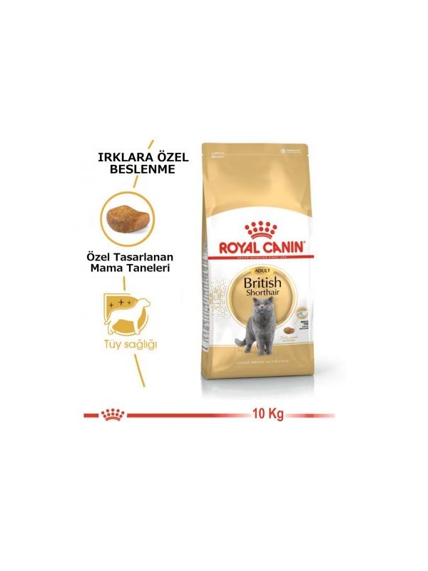 Royal Canin British Shorthair Yetişkin Kedi Maması 10 Kg